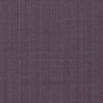 AMADEUS 365 - 202419