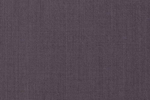 202435.jpg AMADEUS 365 - 202435 - Ảnh 1