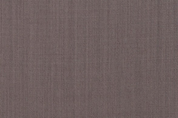 202458.jpg AMADEUS 365 - 202458 - Ảnh 1