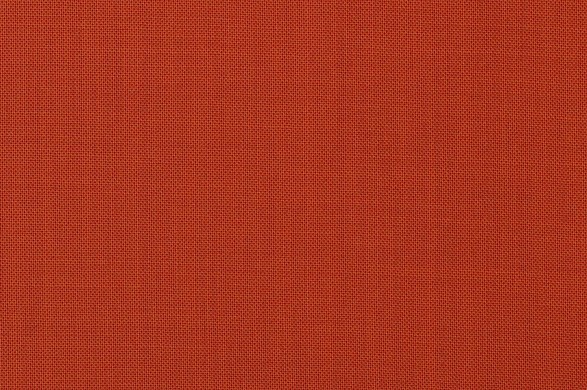 290808.jpg TONIK WOOL - 290808 - Ảnh 1