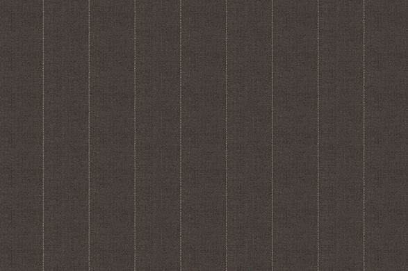 303442.jpg TROPICAL AMADEUS - 303442 - Ảnh 1