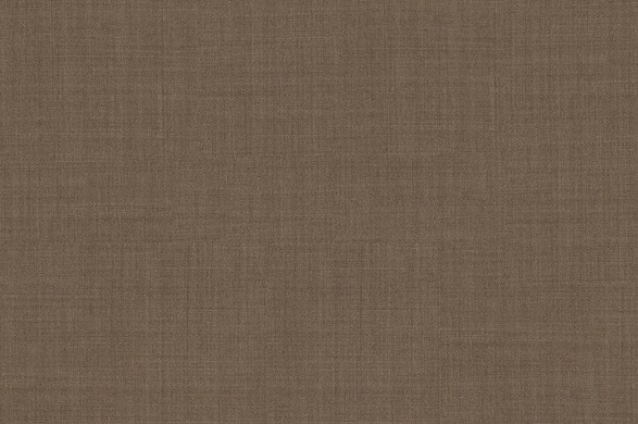 303450.jpg TROPICAL AMADEUS - 303450 - Ảnh 1