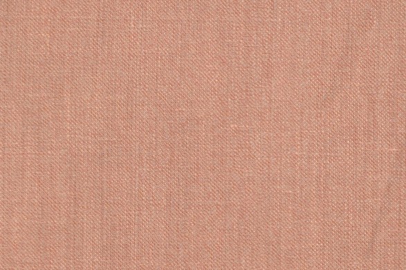417023.jpg D PHILOSOPHY SS - 417023 - Ảnh 1