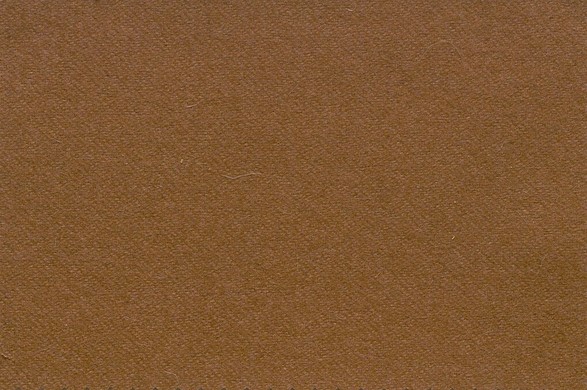 Extreme Vicuna