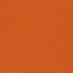 CASHMERE - 795321