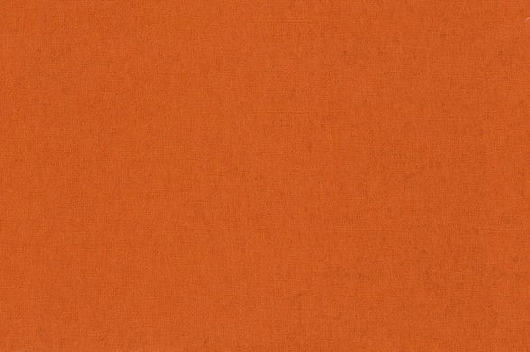 795321.jpg CASHMERE - 795321 - Ảnh 1