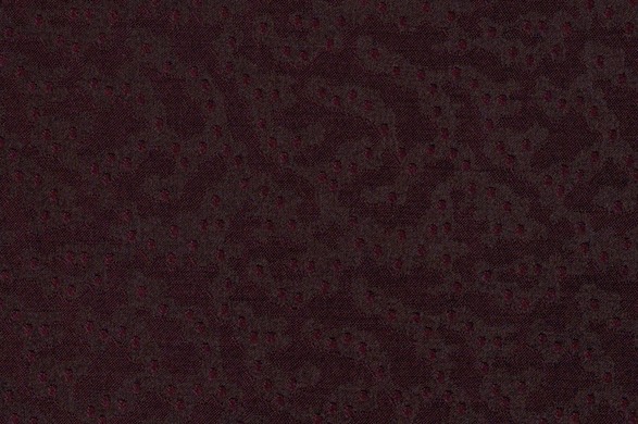 818013.jpg CELEBRATION - 818013 - Ảnh 1
