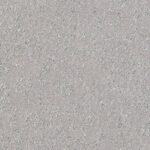 CELEBRATION - 818022