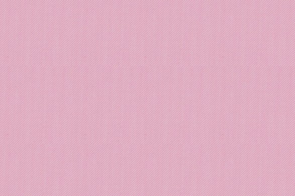 881129.jpg HAMPTONS COLLECTION - 881129 - Ảnh 1