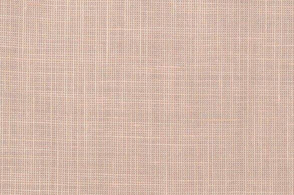 881161.jpg NATURALS - 881161 - Ảnh 1