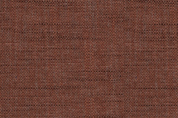 881252.jpg NATURALS - 881252 - Ảnh 1