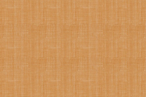 881307.jpg HAMPTONS COLLECTION - 881307 - Ảnh 1