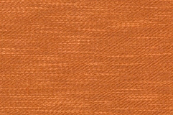 881323.jpg D PHILOSOPHY SS - 881323 - Ảnh 1