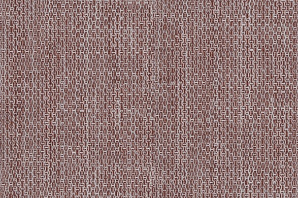 881374.jpg NATURALS - 881374 - Ảnh 1