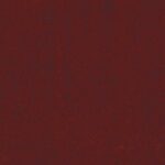 CELEBRATION - 993071